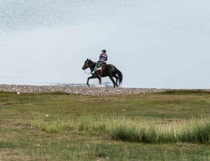 Horse Riding Walking