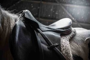 Horse Riding Saddle