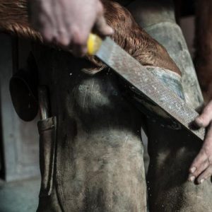 Farrier Care