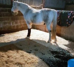 Mayo Mattress Stable Mat