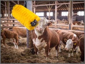 EasySwing Cow Brush