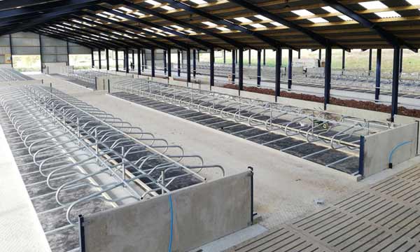 Mattress cow system